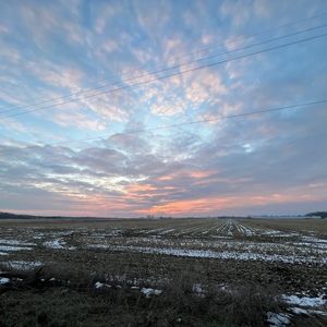 Meet your Posher, Donald